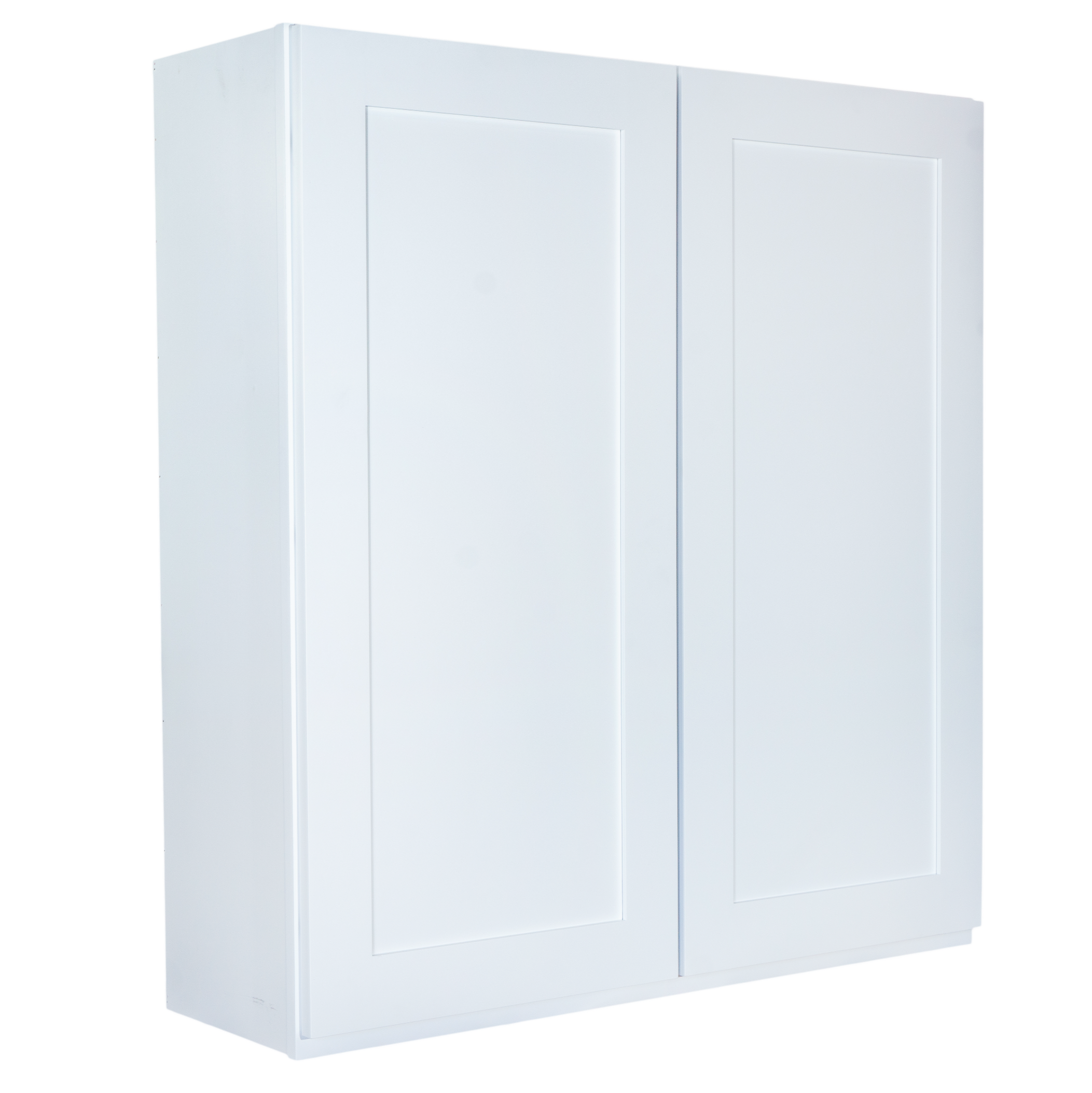 Wall Cabinet 2 Door