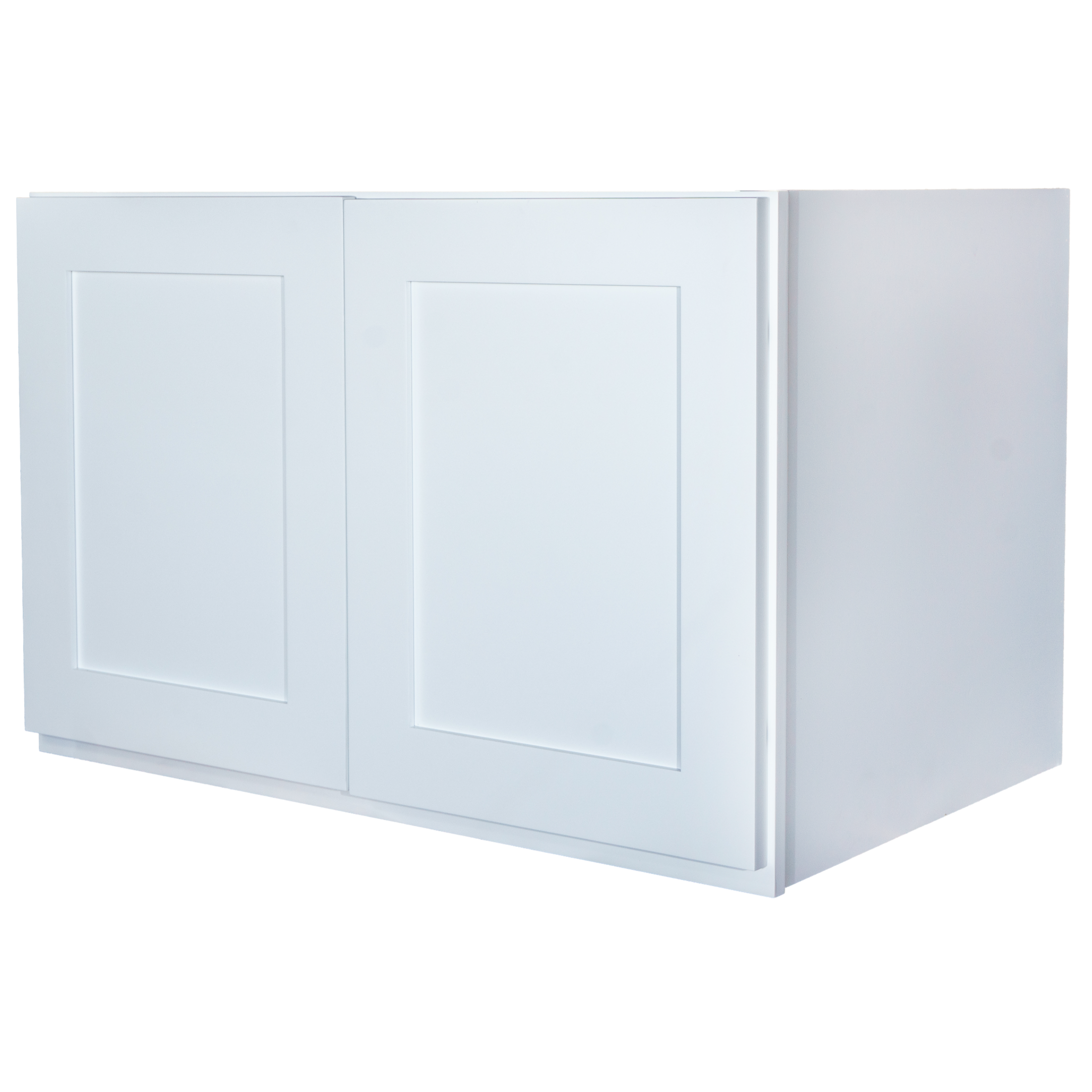 Wall Refrigerator Full Depth Two Door Cabinet