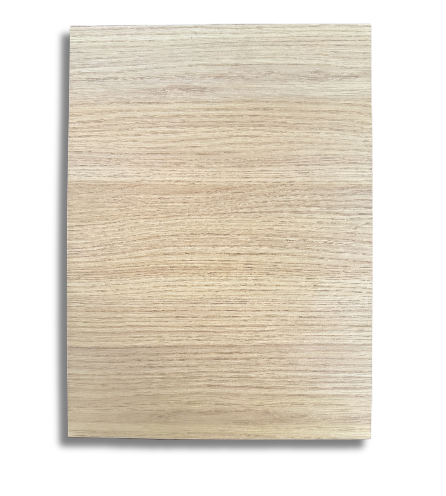 Modern Honey Oak Sample Door