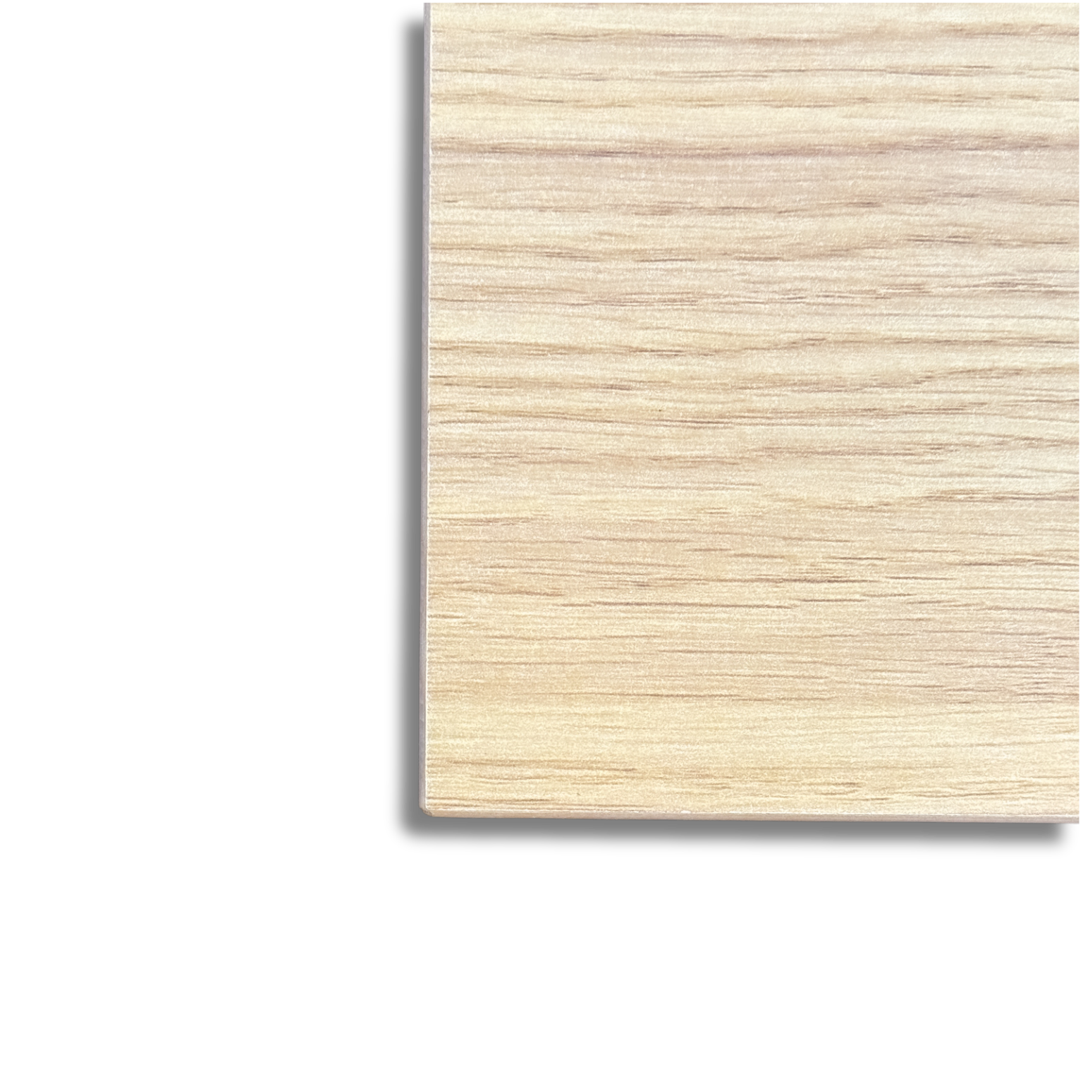 Modern Honey Oak Sample Door