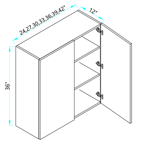 Wall Cabinet W/ 2 Doors